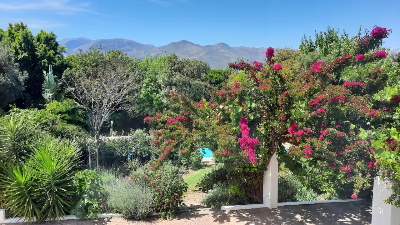 Alba House Guest House Paarl Dış mekan fotoğraf
