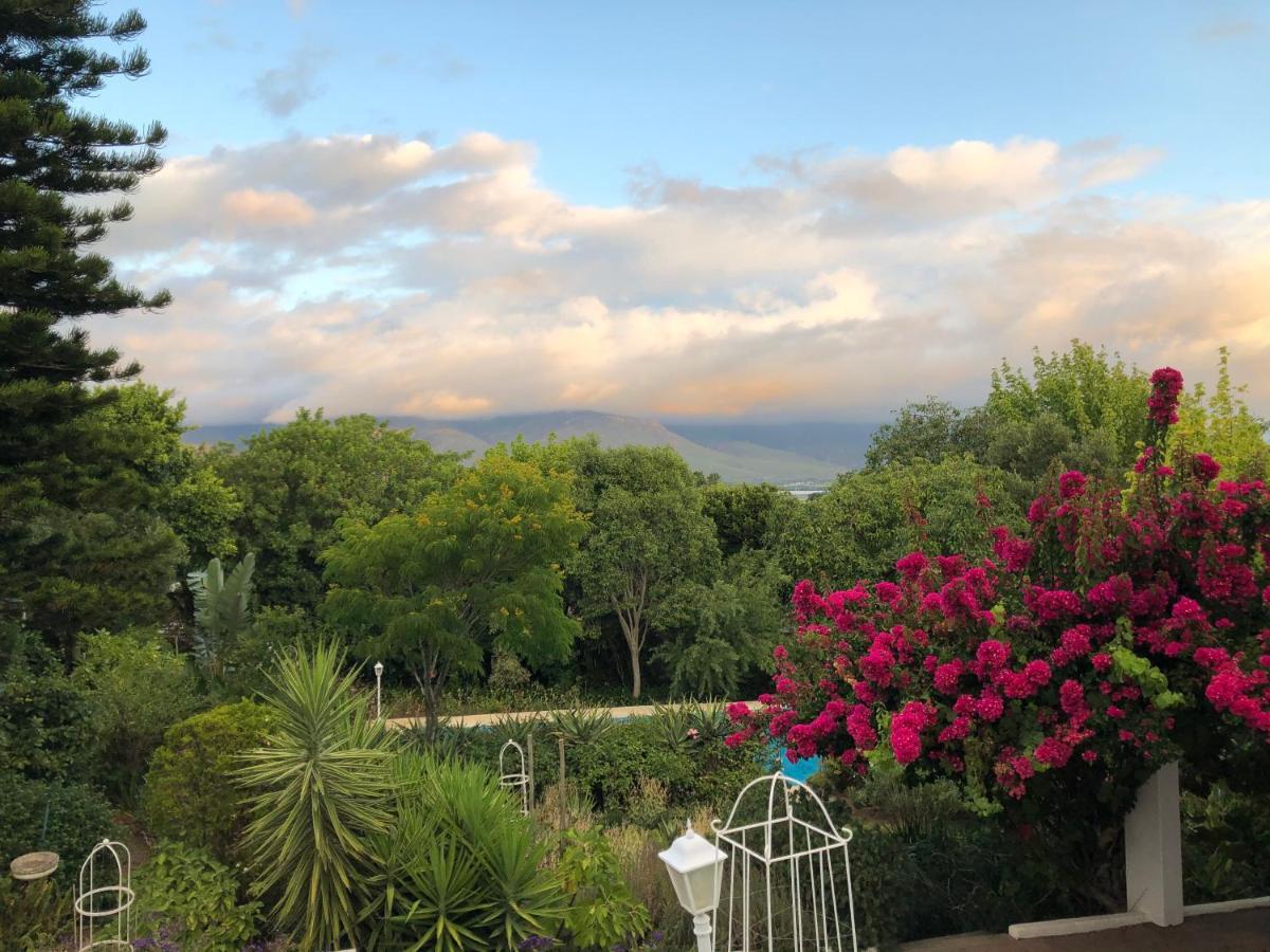 Alba House Guest House Paarl Dış mekan fotoğraf