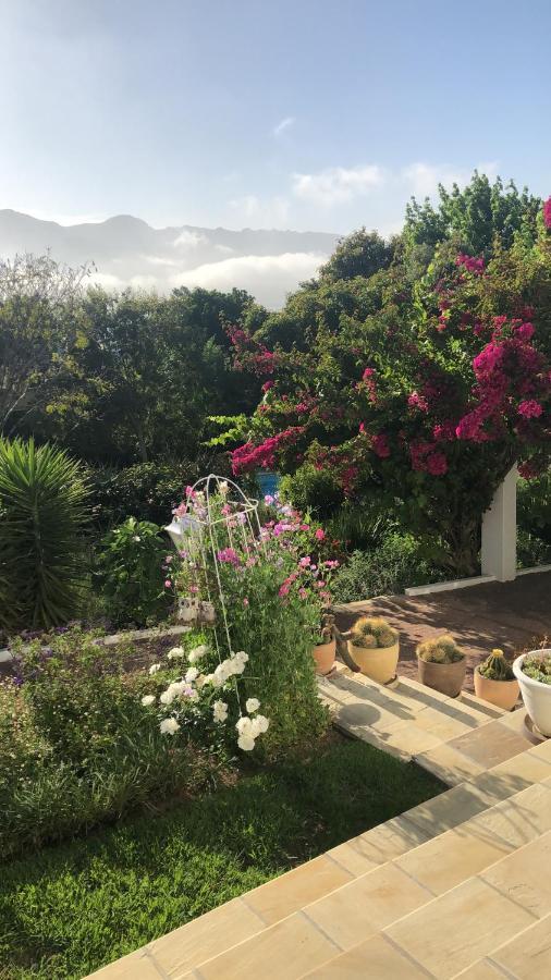 Alba House Guest House Paarl Dış mekan fotoğraf