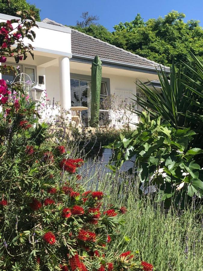 Alba House Guest House Paarl Dış mekan fotoğraf