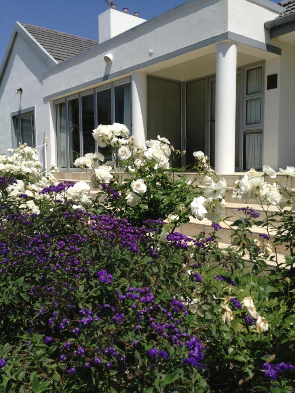 Alba House Guest House Paarl Dış mekan fotoğraf